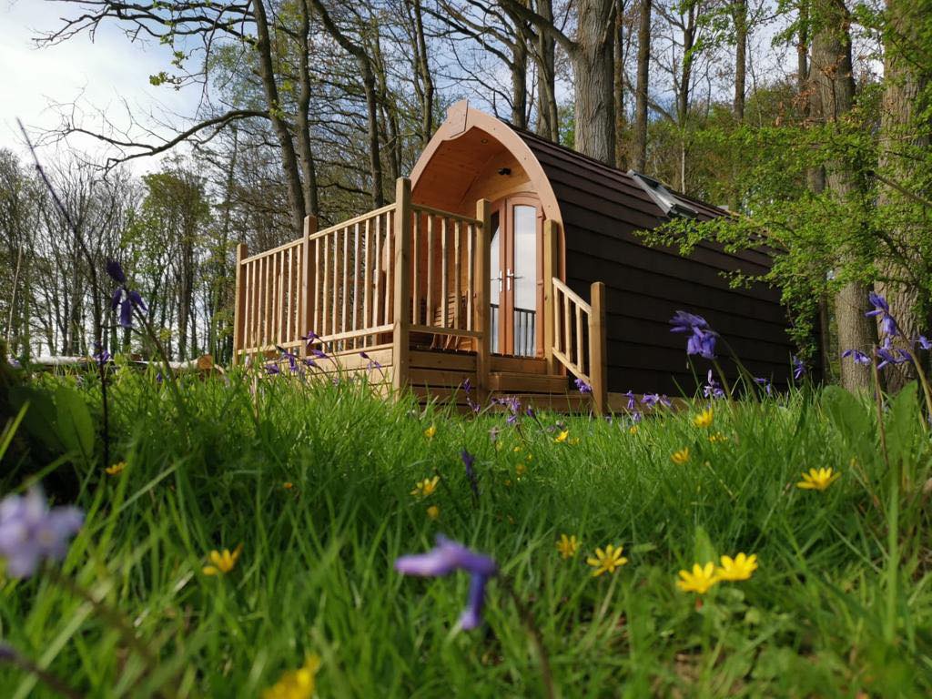 2795547015378426912922522142748044337179025n MiPOD Solutions MiPOD Solutions